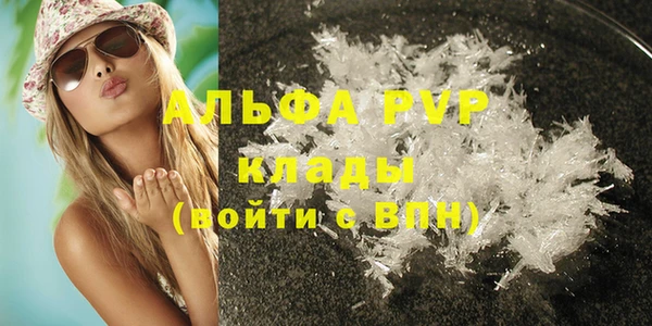стаф Новосибирск