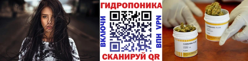 KRAKEN вход Вышний Волочёк Бошки Шишки OG Kush